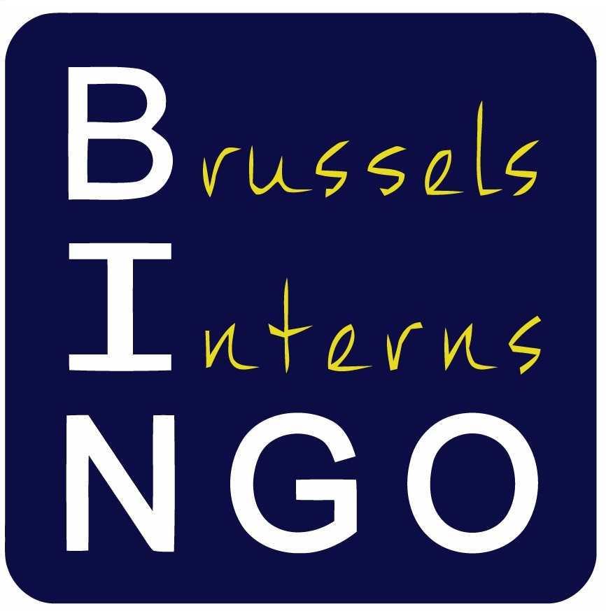 BrusselsInternsNGOBanner