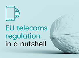cullen-international-telecoms-masterclass-201810-273x200-2